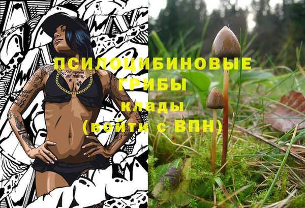 Альфа ПВП Абаза