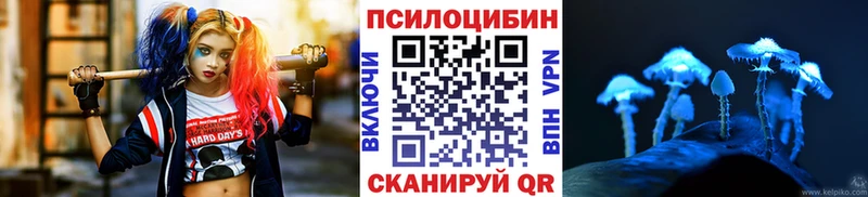 Псилоцибиновые грибы прущие грибы  сколько стоит  mega tor  Петров Вал 